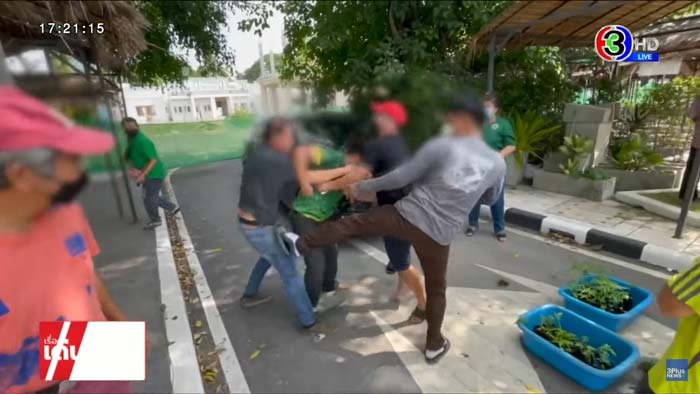 ต่อยแย่งต้นกัญชา