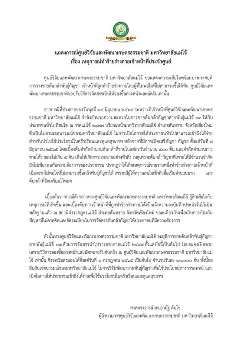 ต่อยแย่งต้นกัญชา