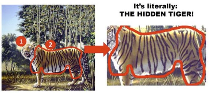 ภาพลวงตา