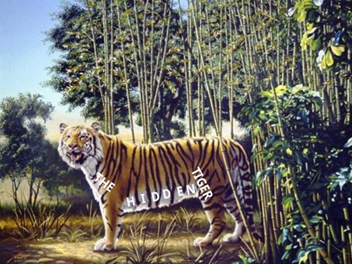 ภาพลวงตา