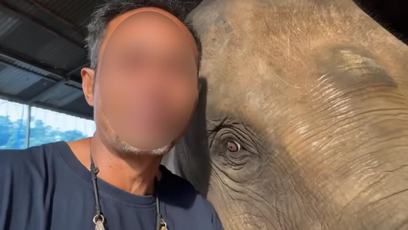 ช้างสุพรรษา