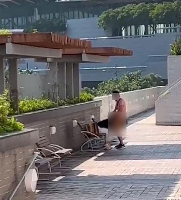 เซ็กส์ในที่สาธารณะ