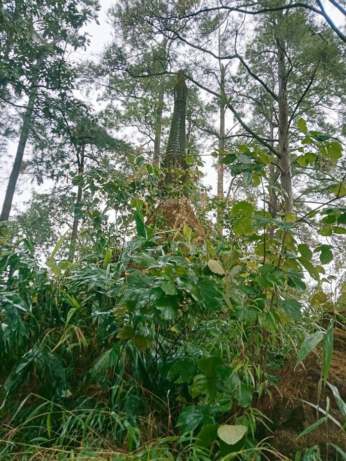 เจดีย์ขุนตาล