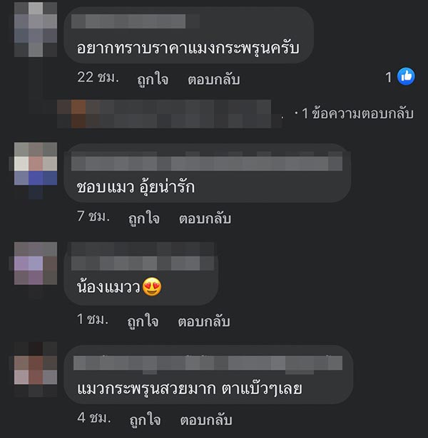 ภาพวาด ม.5 สาธิตศิลปากร