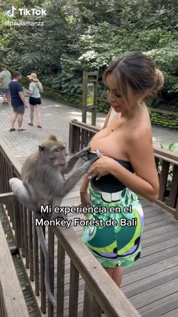 ลิงกระชากเสื้อเกาะอก