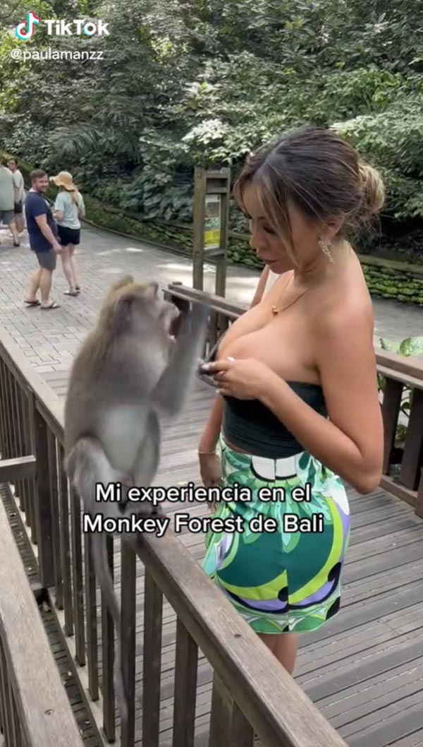 ลิงกระชากเสื้อเกาะอก