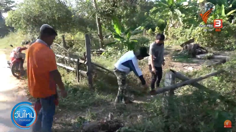 พิตบูลกัดคน