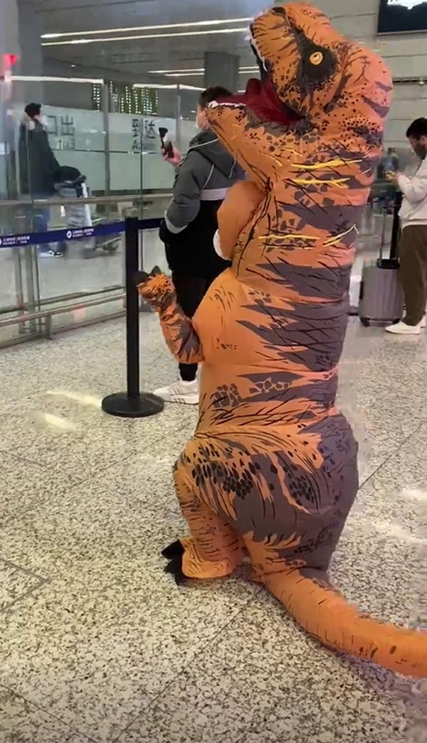 เซอร์ไพรส์ชุดไดโนเสาร์