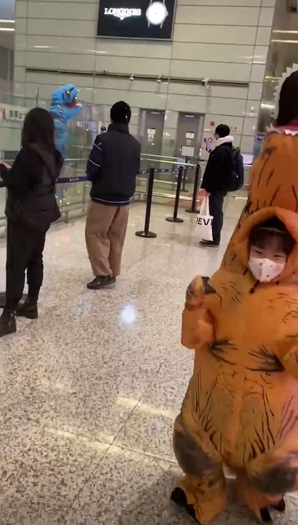 เซอร์ไพรส์ชุดไดโนเสาร์