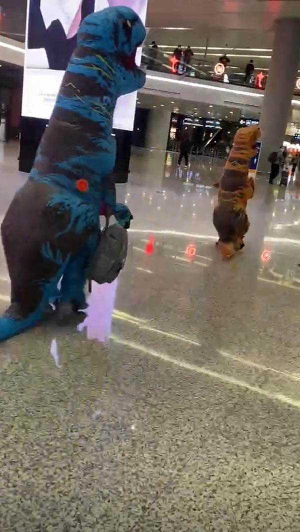 เซอร์ไพรส์ชุดไดโนเสาร์