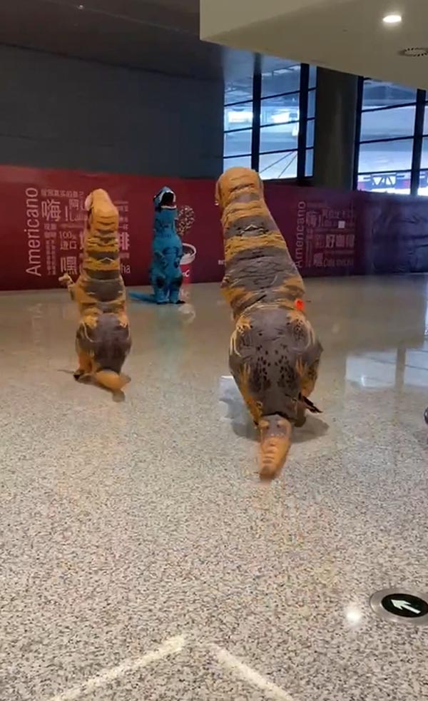 เซอร์ไพรส์ชุดไดโนเสาร์