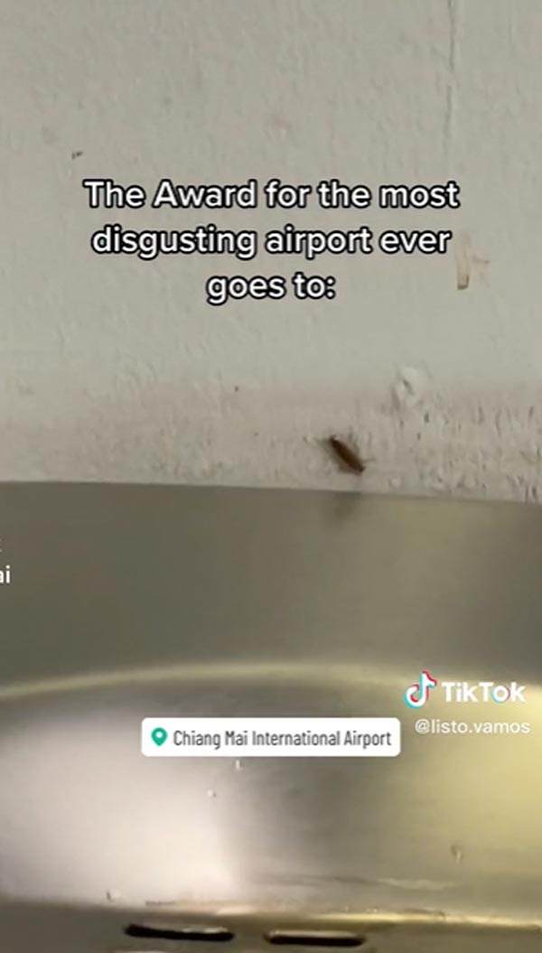 นักท่องเที่ยวรีวิว สนามบินเชียงใหม่