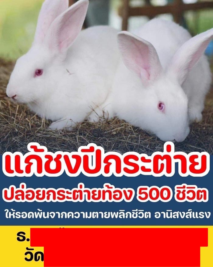 แพรรี่ ไพรวัลย์