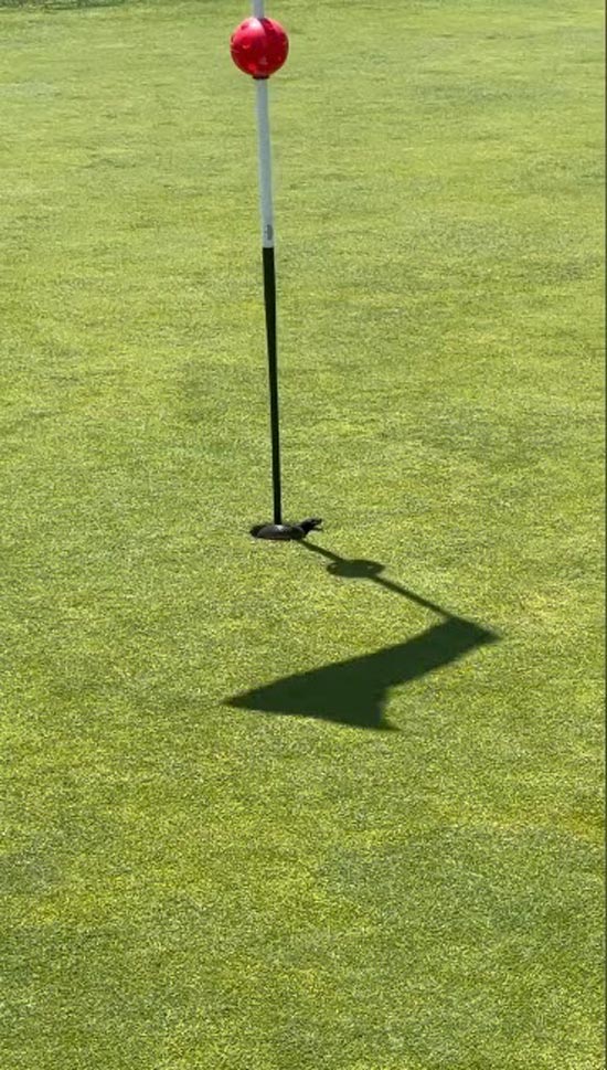 งูในกลุมกอล์ฟ