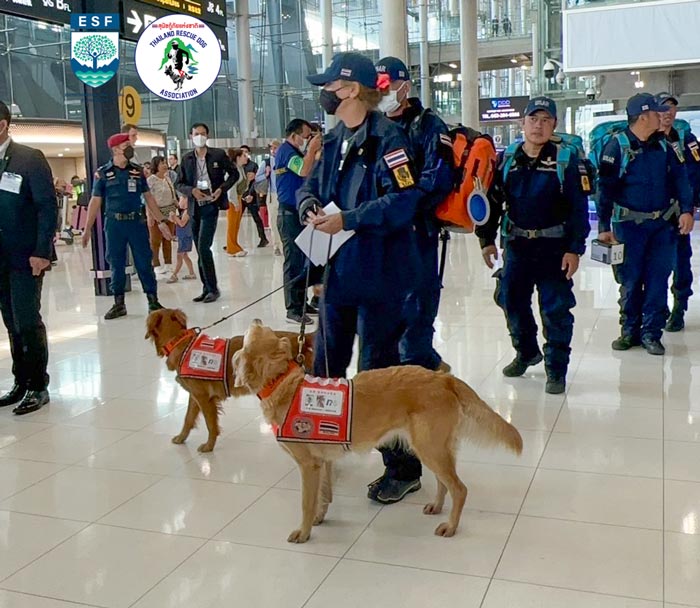 USAR Thailand สุนัข K9