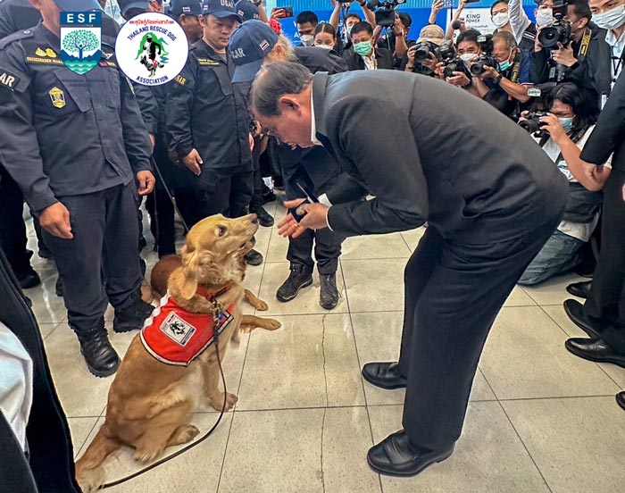 USAR Thailand สุนัข K9