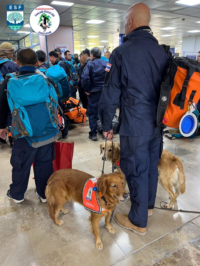 USAR Thailand สุนัข K9