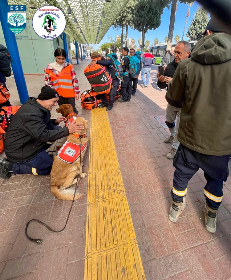 USAR Thailand สุนัข K9