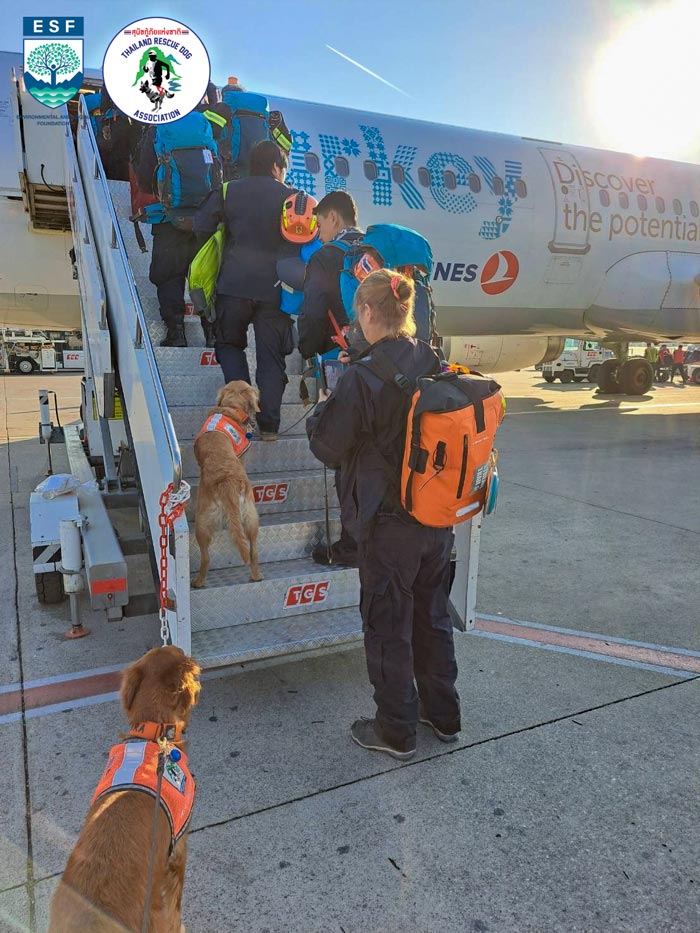 USAR Thailand สุนัข K9