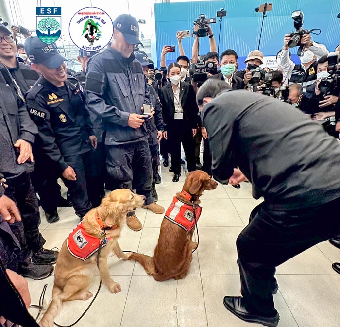 USAR Thailand สุนัข K9