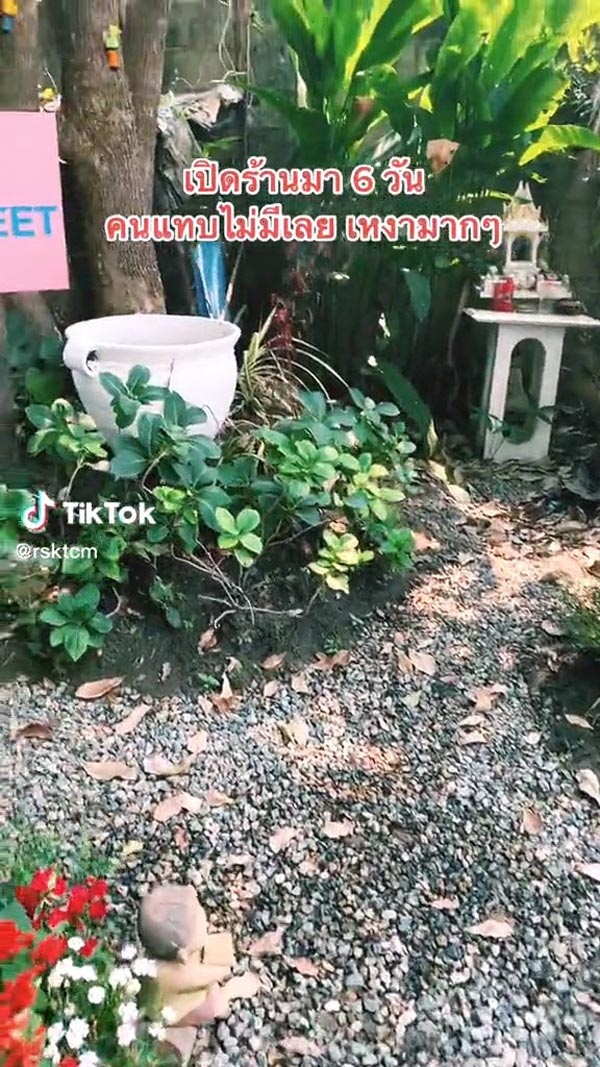 เปิดคาเฟ่ไม่มีคนเข้า