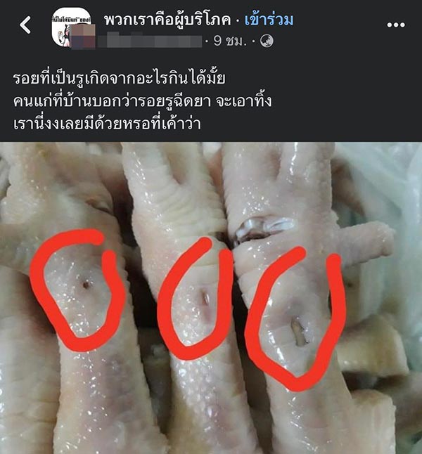 รอยรูฉีดยาในไก่