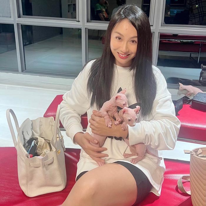 แซน วิศาพัช