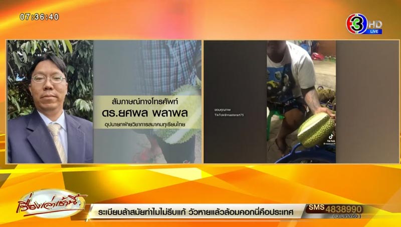 ทุเรียนไม่มีเนื้อ