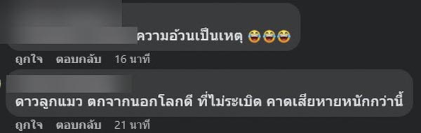 แมวตกใส่รถกระจกแตก