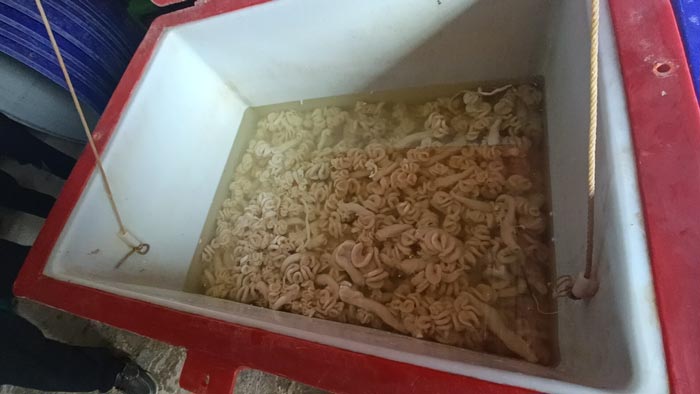 เนื้อหมูกระทะ แช่ฟอร์มาลิน