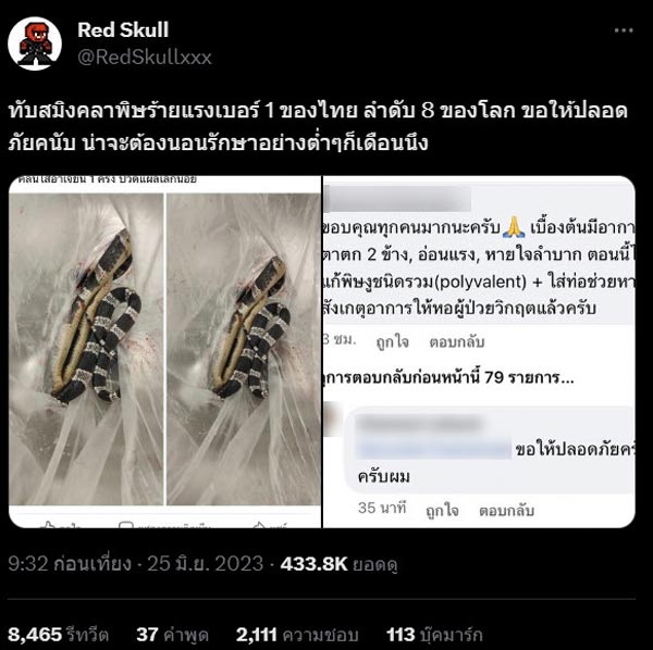 งูทับสมิงคลา