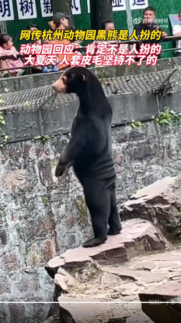 หมีหมาในสวนสัตว์