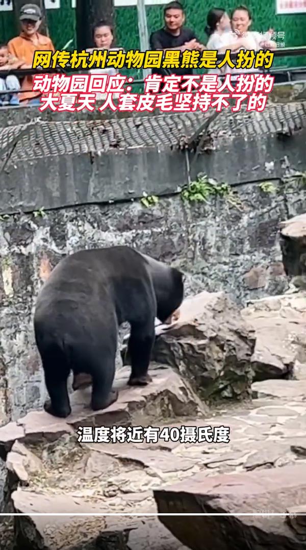 หมีหมาในสวนสัตว์