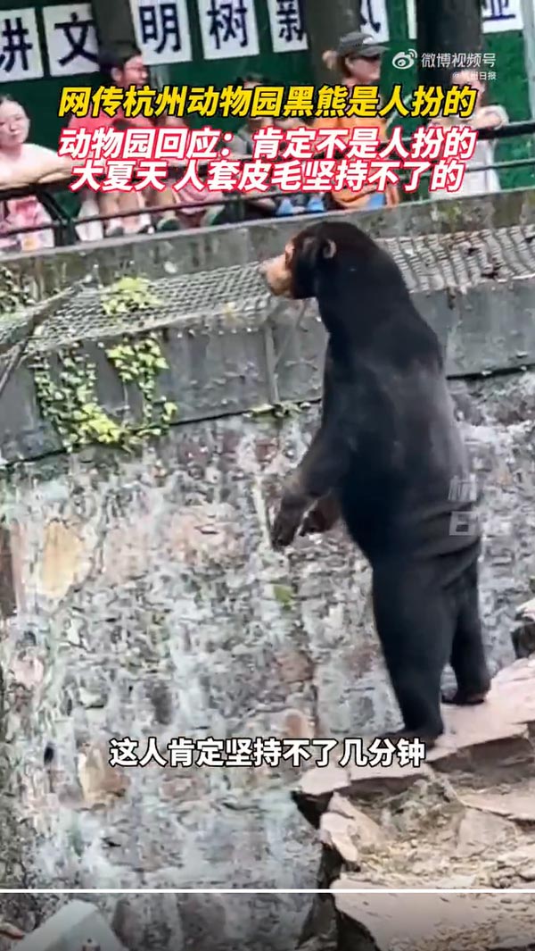 หมีหมาในสวนสัตว์