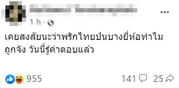 พริกไทยป่น