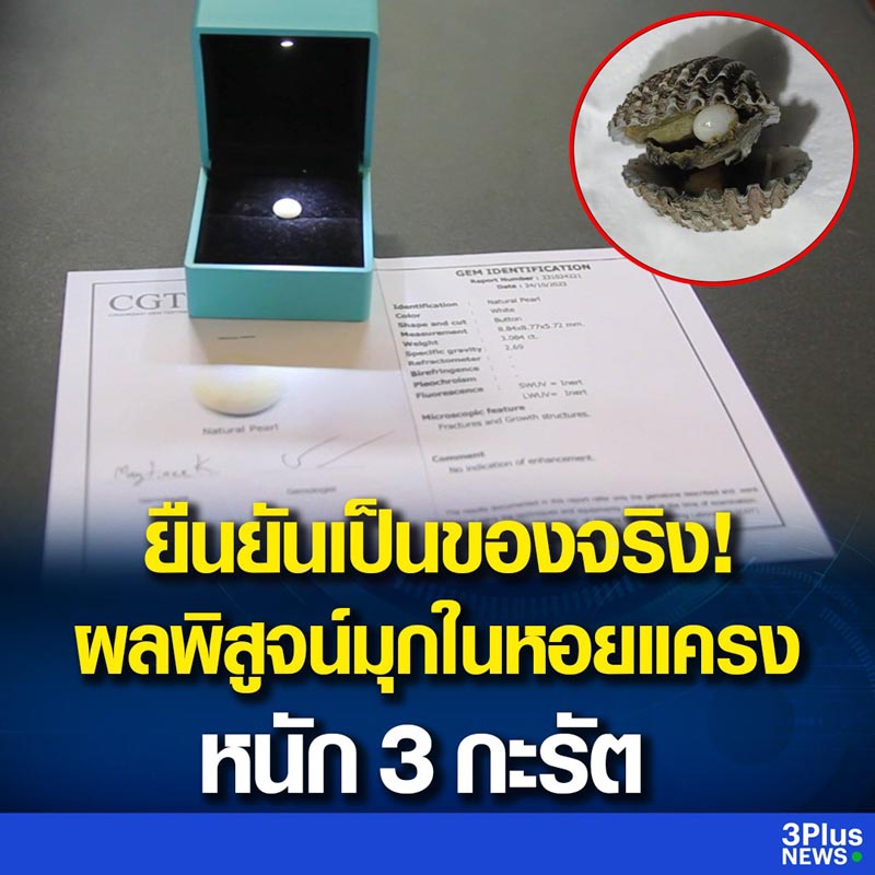 ไข่มุกในหอยแครง