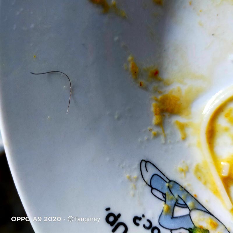 เส้นผมปริศนาในขนมจีนน้ำยา