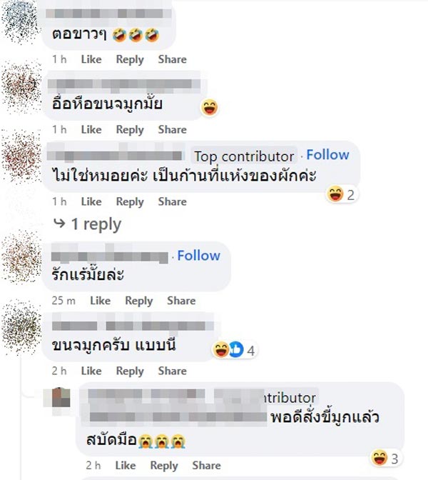 เส้นผมปริศนาในขนมจีนน้ำยา