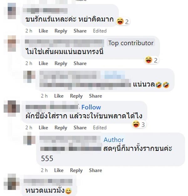 เส้นผมปริศนาในขนมจีนน้ำยา