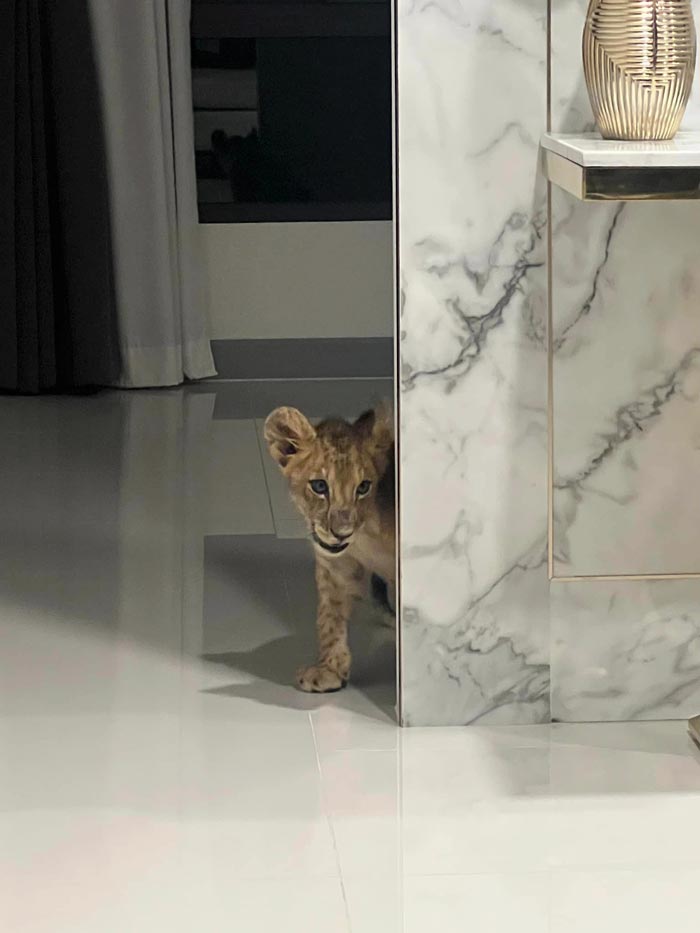 บูม หมูทะ