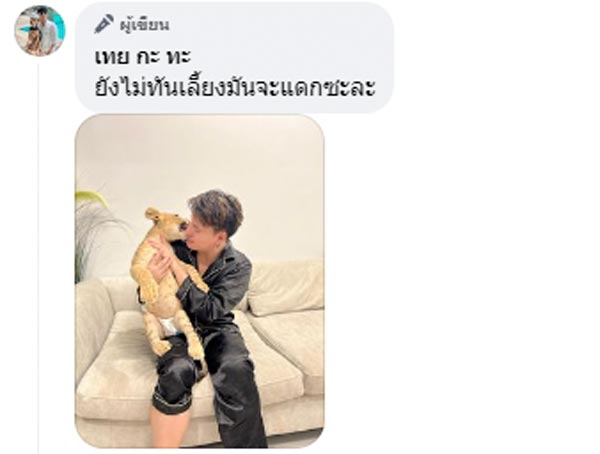 บูม หมูทะ