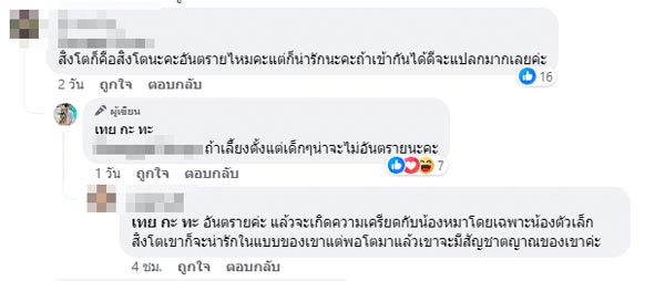 บูม หมูทะ