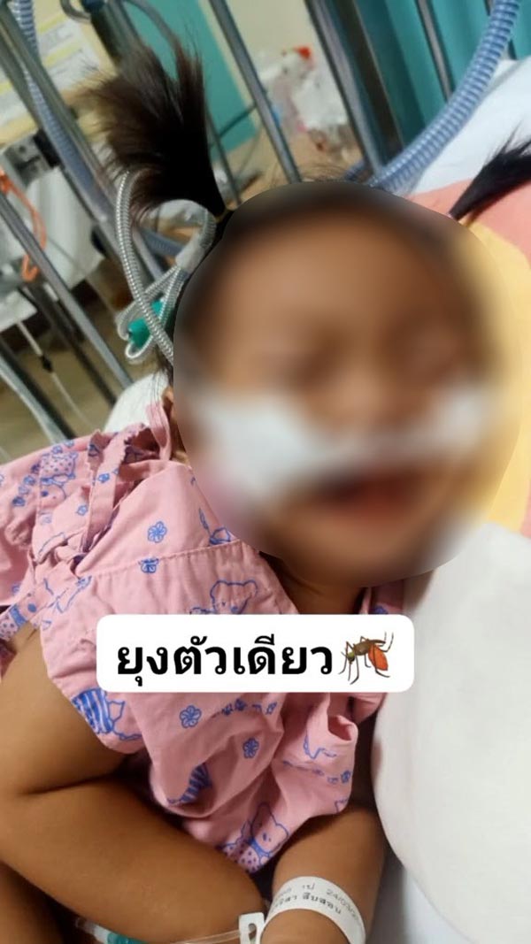 ยุงกัดลูก