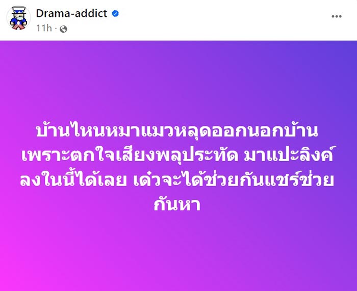 หมาแมวช็อกตายตกใจเสียงพลุปีใหม่