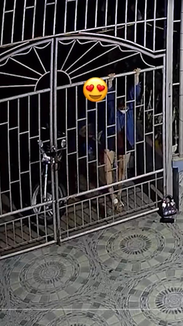 ปีนลอดรั้วเข้าบ้าน