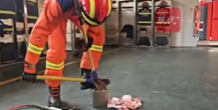 กระปุกออมสิน เด็ก 4 ขวบ