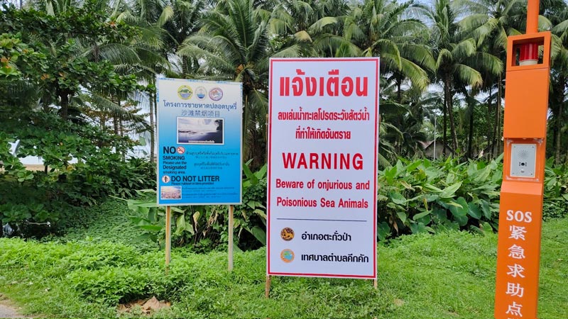 ติดป้ายเตือนนักท่องเที่ยวถูกฉลามกัด