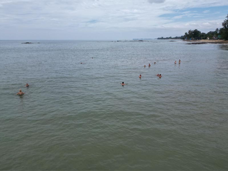 ฉลามหัวบาตรกัดคน