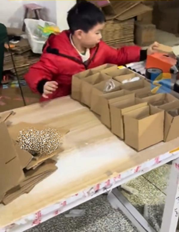 เด็กอนุบาล ทำงานแพ็กของ