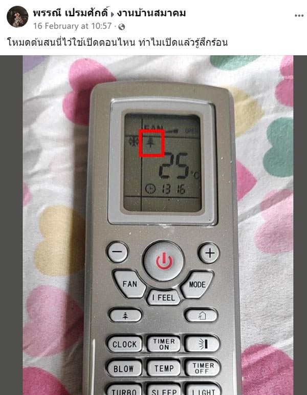 รูปต้นสนในรีโมตแอร์